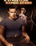 İhtiras Tramvayı Türkçe Dublaj izle