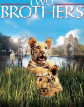 İki Kardeş 2004 Türkçe Dublaj izle