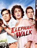 İntikam Geçidi – Elephant Walk 1954 Türkçe Dublaj izle