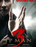 Ip Man 3 Türkçe Dublaj izle