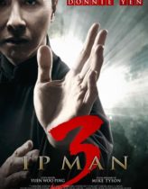 Ip Man 3 Türkçe Dublaj izle