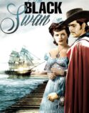 Kara Korsan 1942 Türkçe Dublaj izle