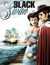 Kara Korsan 1942 Türkçe Dublaj izle