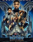 Kara Panter Türkçe Dublaj izle