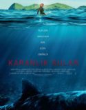 Karanlık Sular Türkçe Dublaj izle