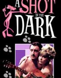 Karanlıkta Bir Çığlık – A Shot in the Dark Türkçe Dublaj izle