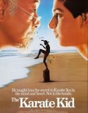 Karateci Çocuk 1 Türkçe Dublaj izle