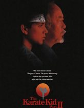 Karateci Çocuk 2 Türkçe Dublaj izle