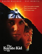 Karateci Çocuk 3 Türkçe Dublaj izle