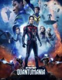 Karınca Adam ve Yaban Arısı: Kuantum Alemi Türkçe Dublaj izle