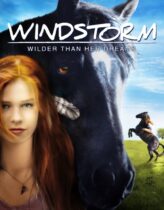 Kasırga 2013 Türkçe Dublaj izle