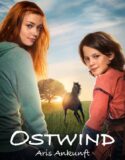 Kasırga 4: Ari’nin Gelişi 2019 Türkçe Dublaj izle
