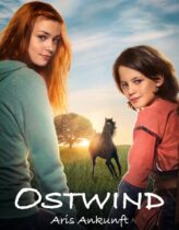 Kasırga 4: Ari’nin Gelişi 2019 Türkçe Dublaj izle