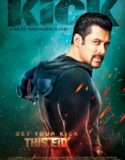 Kick 2014 Full HD 720p izle