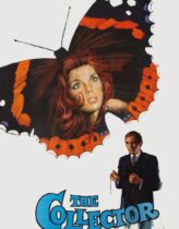 Korkunç Koleksiyoncu – The Collector Türkçe Dublaj izle