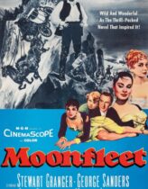 Korsanlar Tuzağı Türkçe Dublaj izle