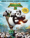 Kung Fu Panda 3 Türkçe Dublaj izle