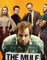 Kurye 2014 Türkçe Dublaj izle