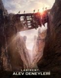 Labirent 2: Alev Deneyleri Türkçe Dublaj izle