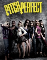 Mükemmel Saha 1 Türkçe Dublaj izle