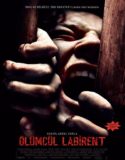 Ölümcül Labirent – Escape Room Türkçe Dublaj Full HD izle
