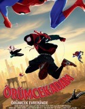Örümcek-Adam: Örümcek Evreninde 2018 Türkçe Dublaj izle