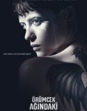 Örümcek Ağındaki Kız Full HD Türkçe Dublaj izle