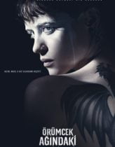 Örümcek Ağındaki Kız Full HD Türkçe Dublaj izle