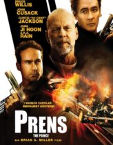 Prens 2014 Türkçe Dublaj izle