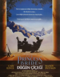 Prenses Gelin Türkçe Dublaj izle