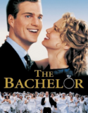 Şahane Bekar 1999 Türkçe Dublaj izle