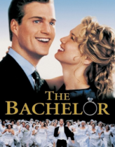 Şahane Bekar 1999 Türkçe Dublaj izle