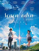 Senin Adın – Your Name 2016 Türkçe Dublaj izle