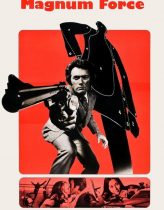 Silahın Gücü 1973 Türkçe Dublaj izle