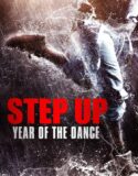 Sokak Dansı: Çin Türkçe Dublaj izle