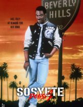 Sosyete Polisi 2 Türkçe Dublaj izle
