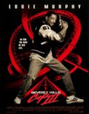 Sosyete Polisi 3 Türkçe Dublaj izle