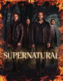 Supernatural 12. Sezon 2. Bölüm Türkçe Dublaj izle