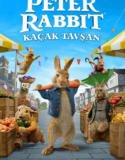 Peter Rabbit: Kaçak Tavşan 2021 Full Türkçe Dublaj HD izle