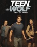 Teen Wolf 2. Sezon 8. Bölüm Türkçe Dublaj izle