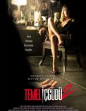 Temel İçgüdü 2 Türkçe Dublaj izle