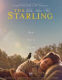The Starling 2021 Türkçe Dublaj izle