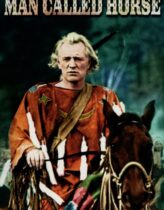 Vahşi Kahramanın Dönüşü 1976 Türkçe Dublaj izle