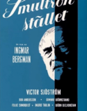 Yaban Çilekleri Türkçe Dublaj izle