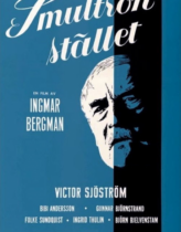 Yaban Çilekleri Türkçe Dublaj izle